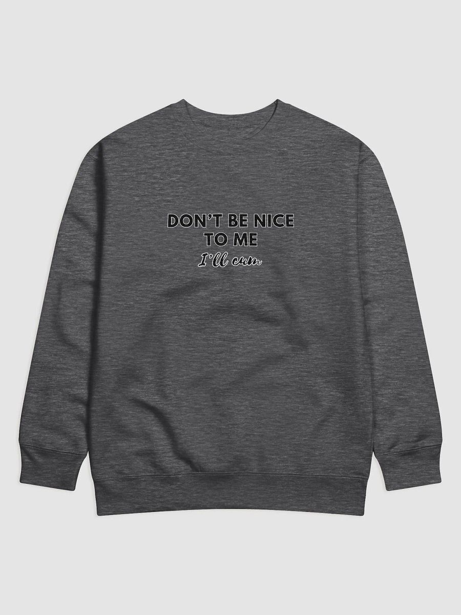 Don't Be Nice To Me Sweater product image (1)