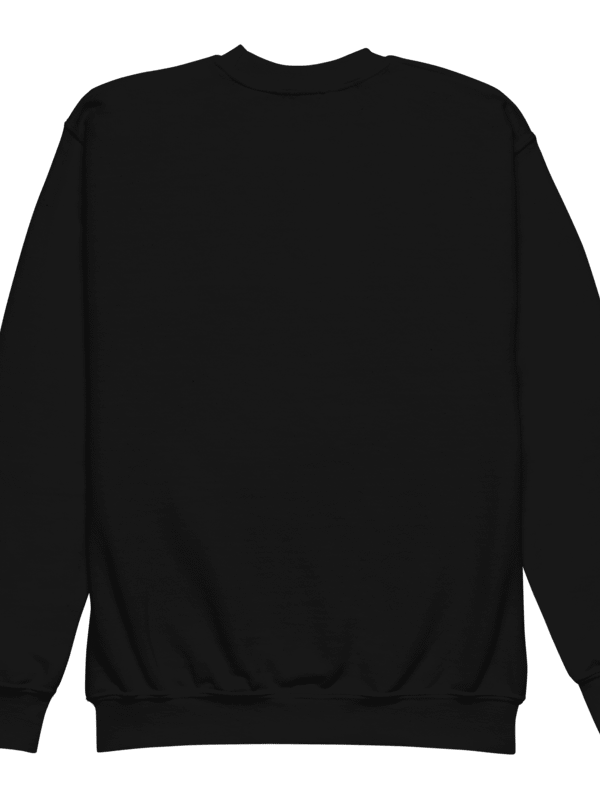 Holy Spirit Flight Youth Sweatshirt product image (11)