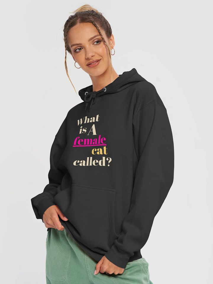 What Do You Call a Female Cat? Lane Seven Premium Pullover Hoodie product image (1)
