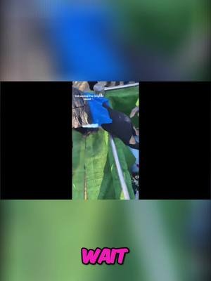 They dragged her out by the HOOD! 😳 Almost went to jail... but that's my DAD. 🤣 #Crazy #Unexpected #Drama #FamilyFun