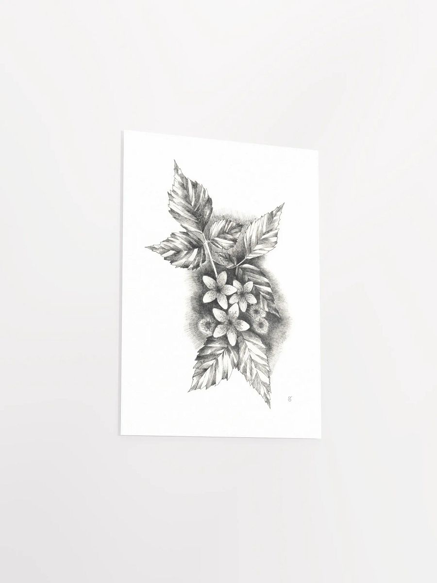 Botanical Bliss Matte Poster - Jasmine product image (3)