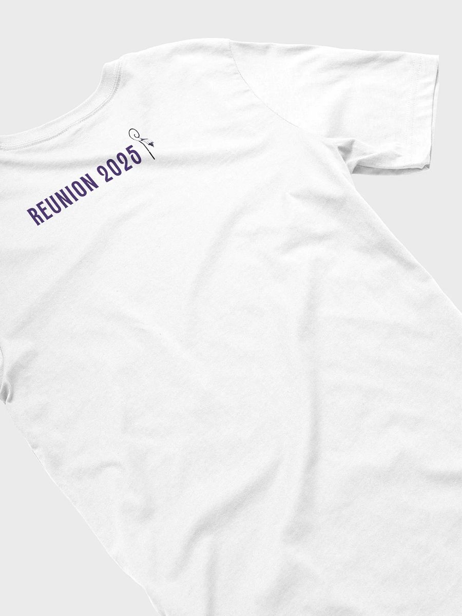 Minimalist Serif Reunion Tee in White product image (4)
