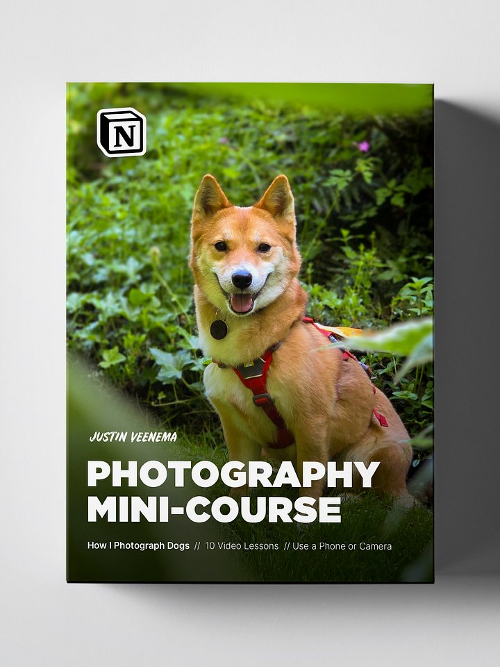 Photography Mini-Course product image (1)