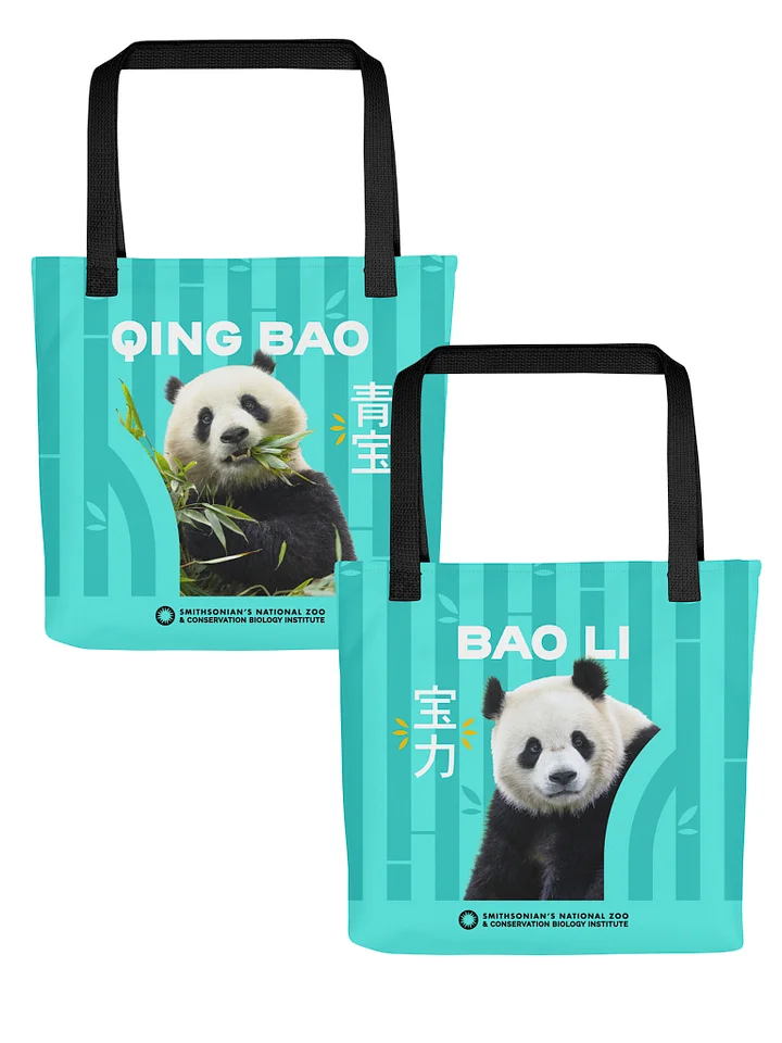 Bao Li & Qing Bao Tote product image (1)