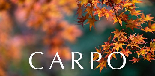 Hiraeth: Carpo