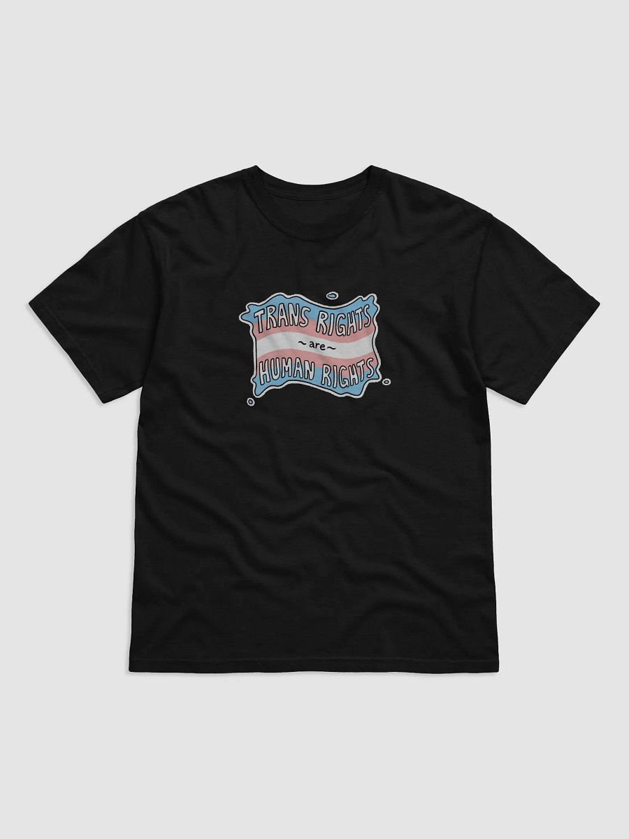 Trans Rights Shirt product image (1)