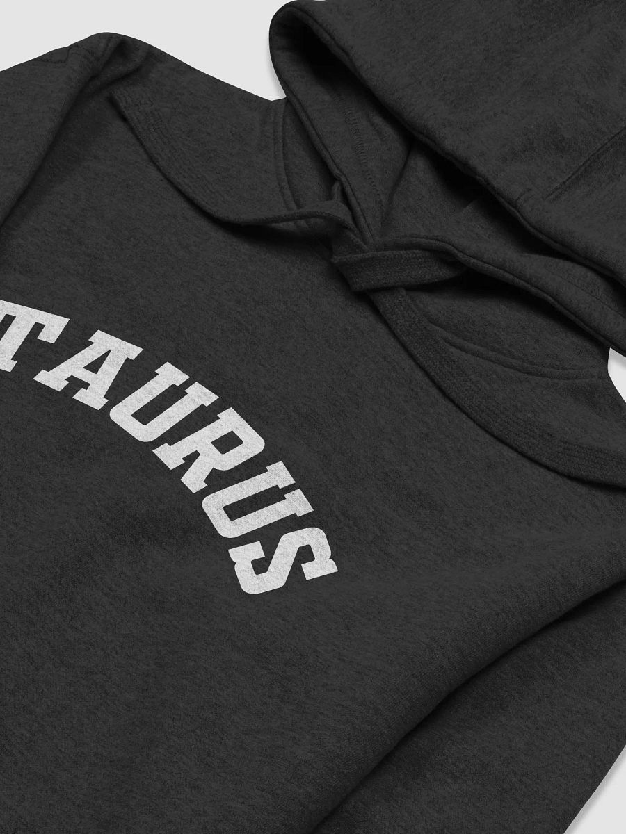 Taurus Hoodie product image (3)