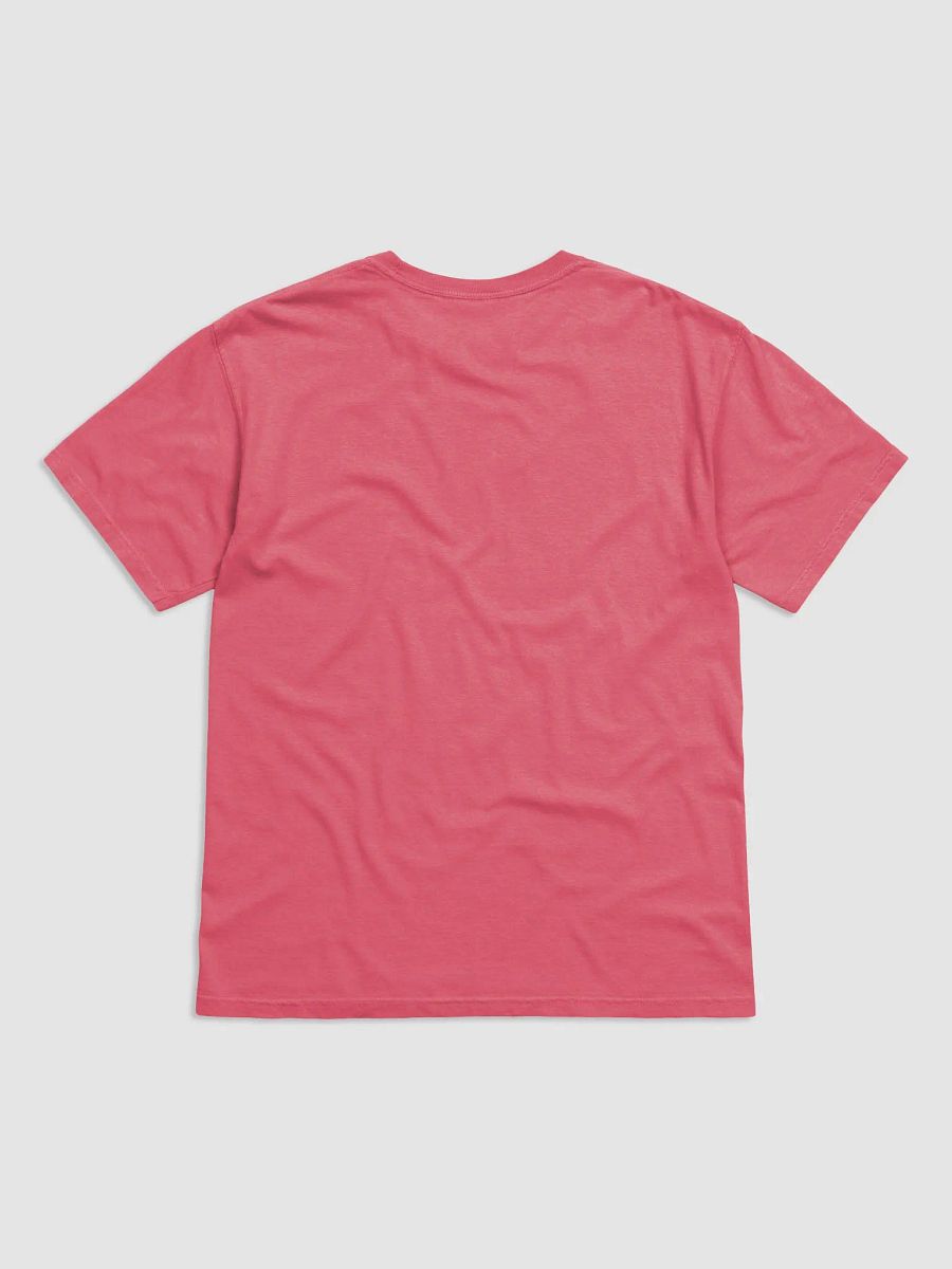 CS HeavyBlend Colorful T Shirt product image (66)