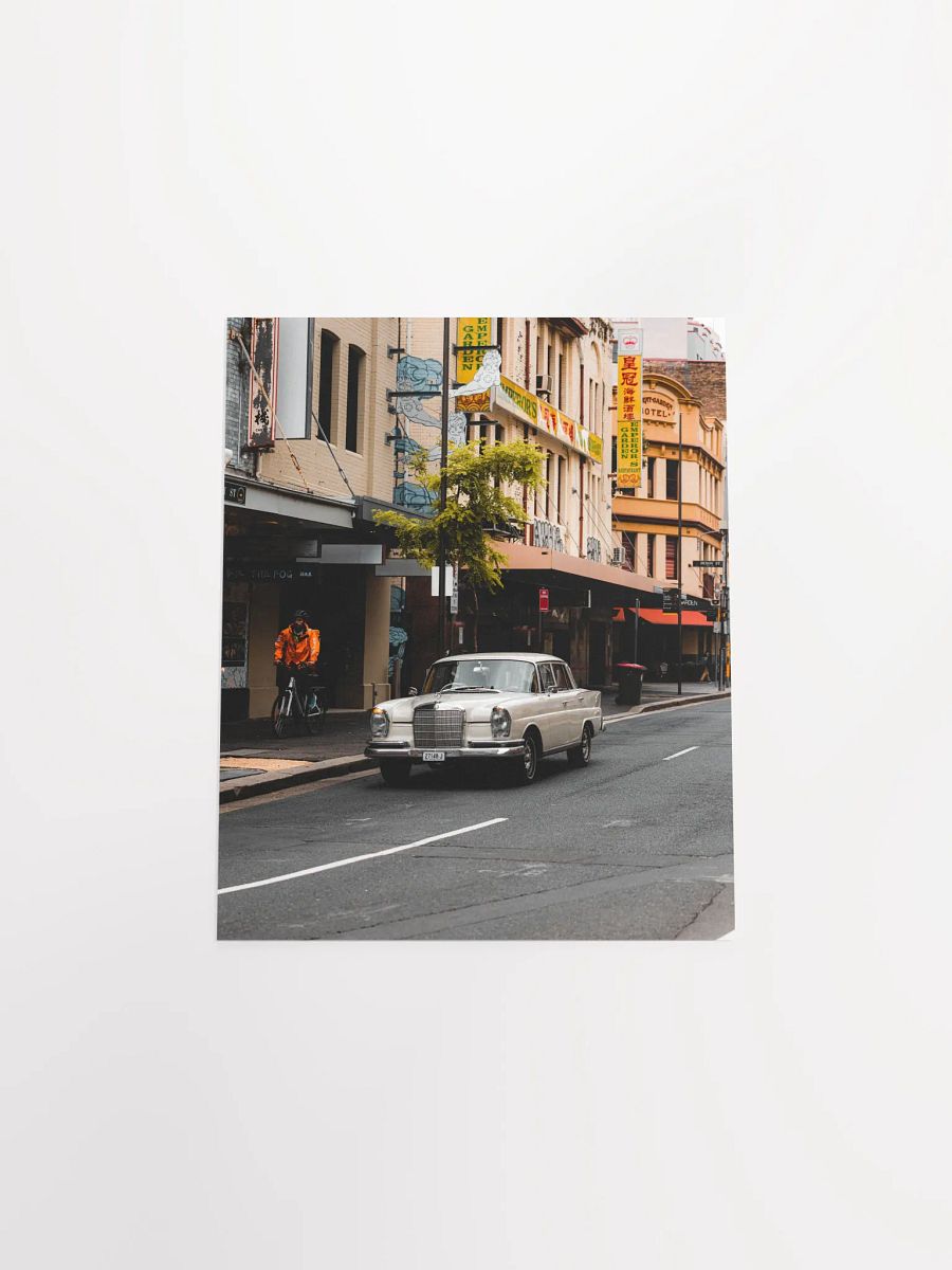 Mercedes-Benz 220SE Poster product image (12)