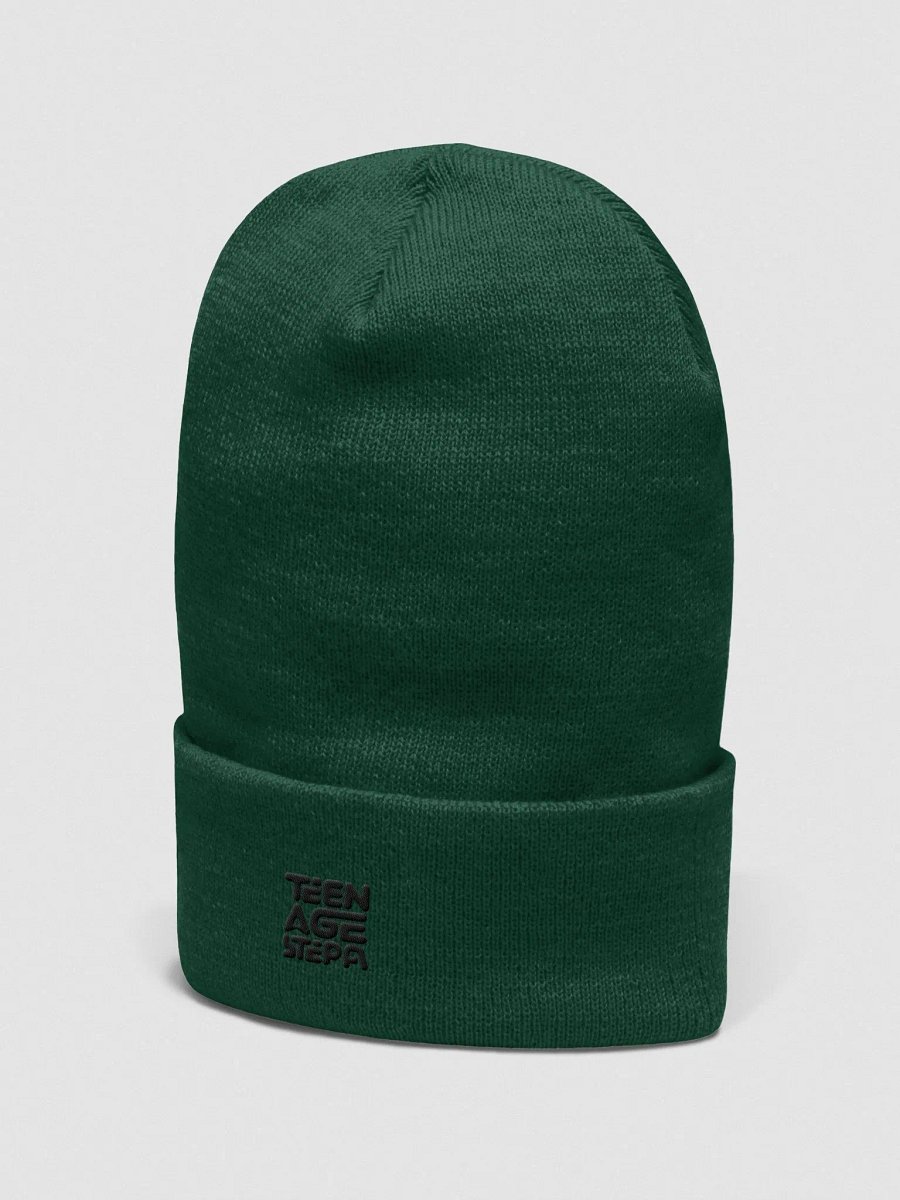 Teen Age Stepa Cuffed Beanie product image (2)