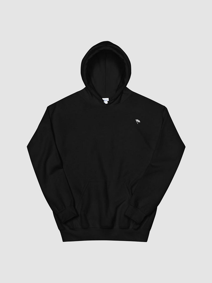 Motto® Flag Embroidered Hoodie product image (2)