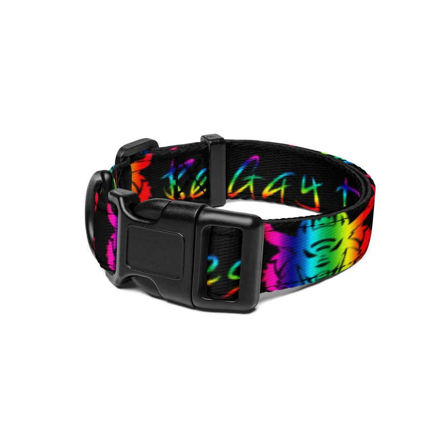 Be Gay Collar product image (1)