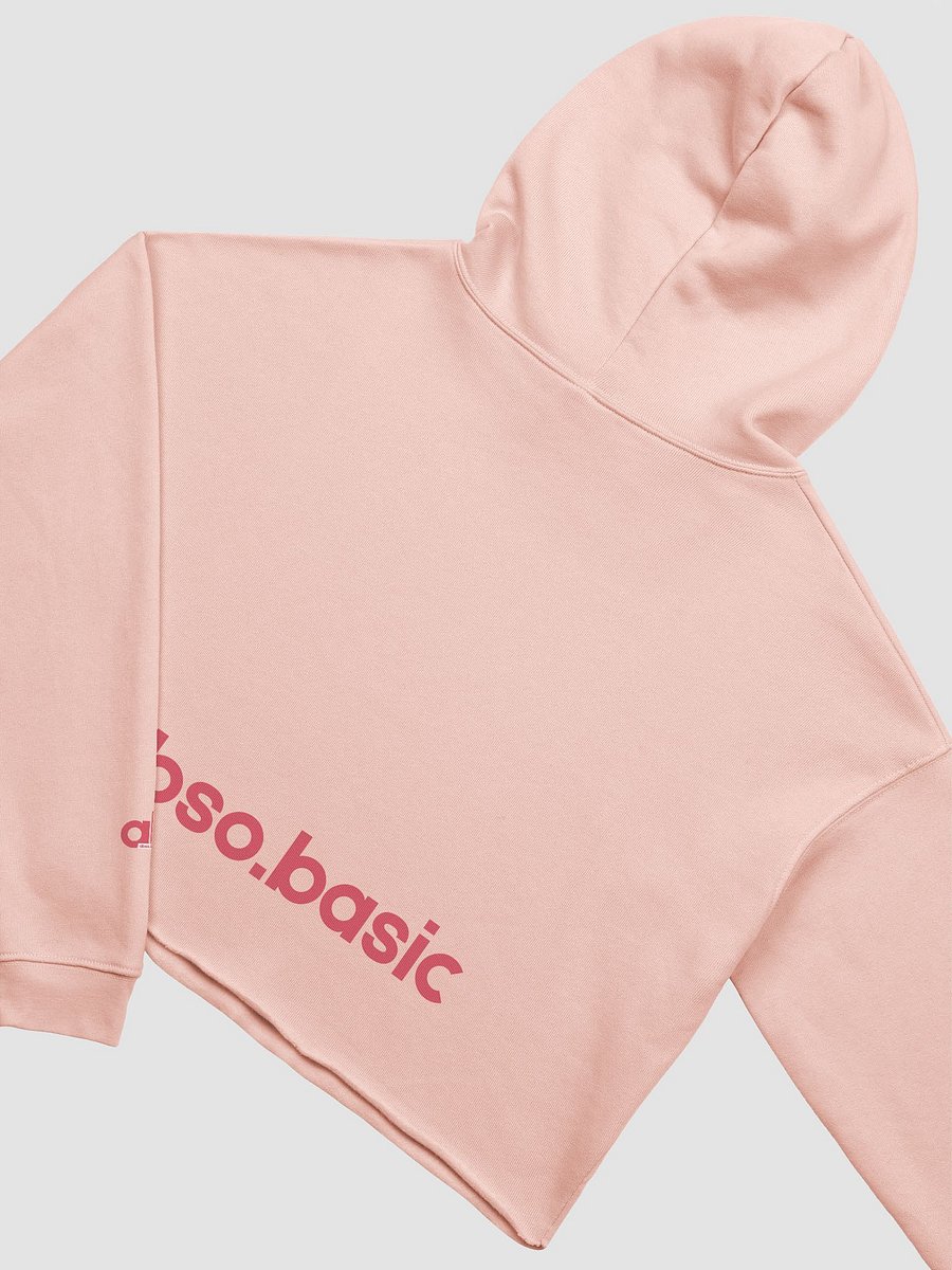 Pieces Of Me Vintage Illustration Crop Hoodie product image (20)