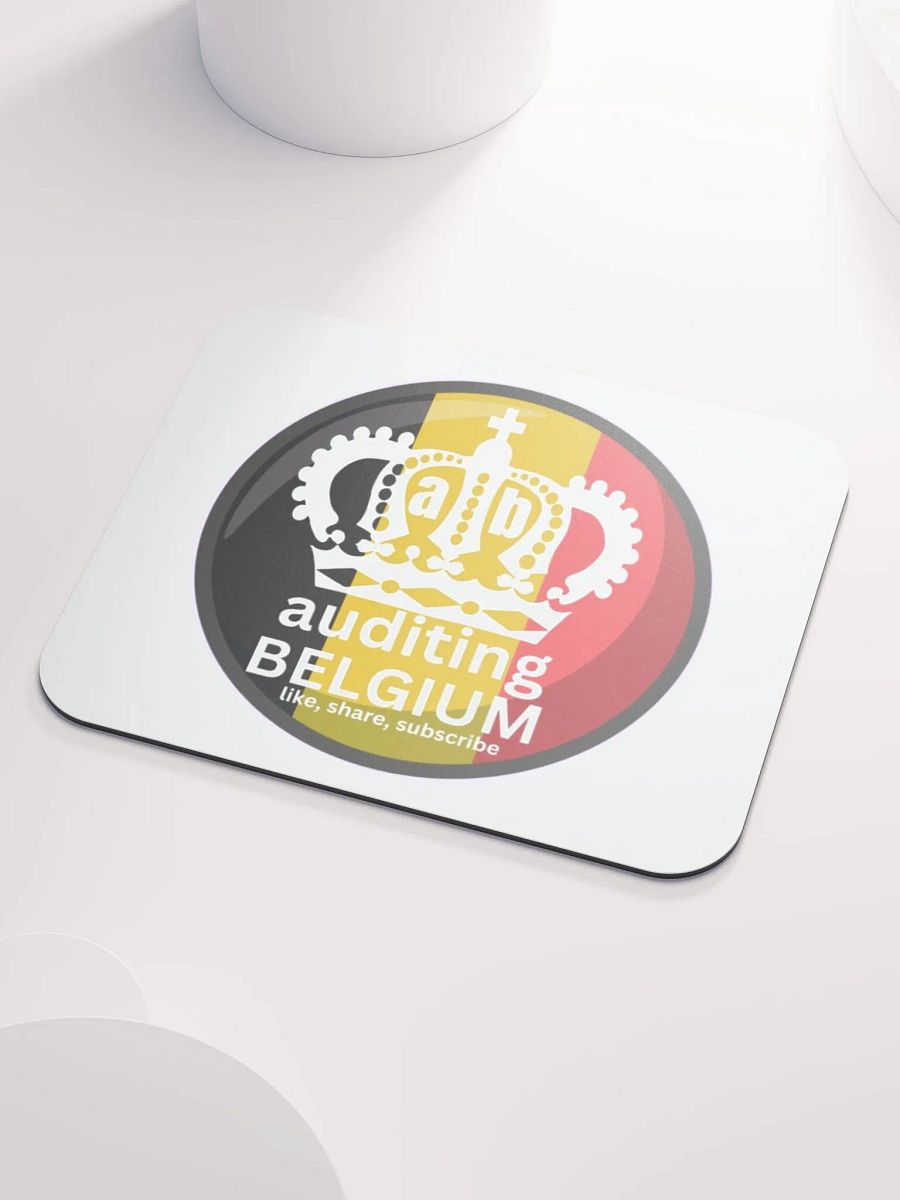 AUDITING BELGIUM product image (3)