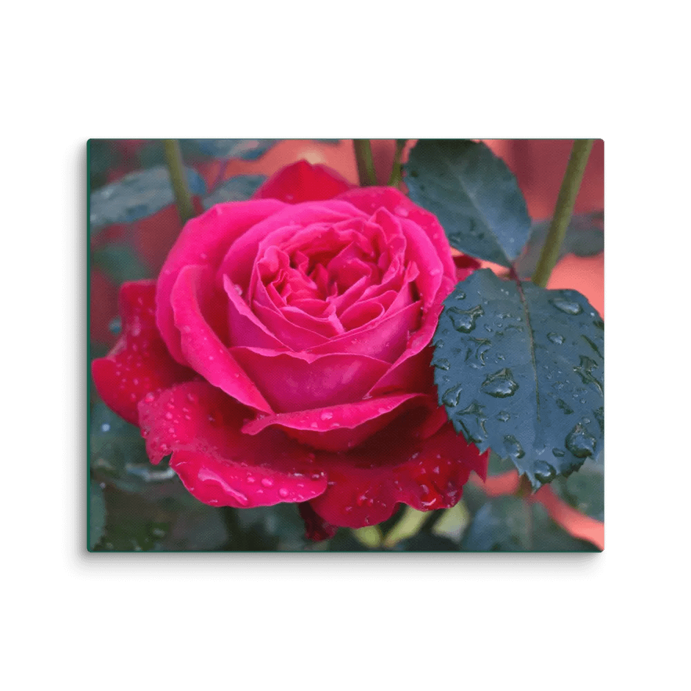 Canvas Rose of Heart Raindrops product image (3)