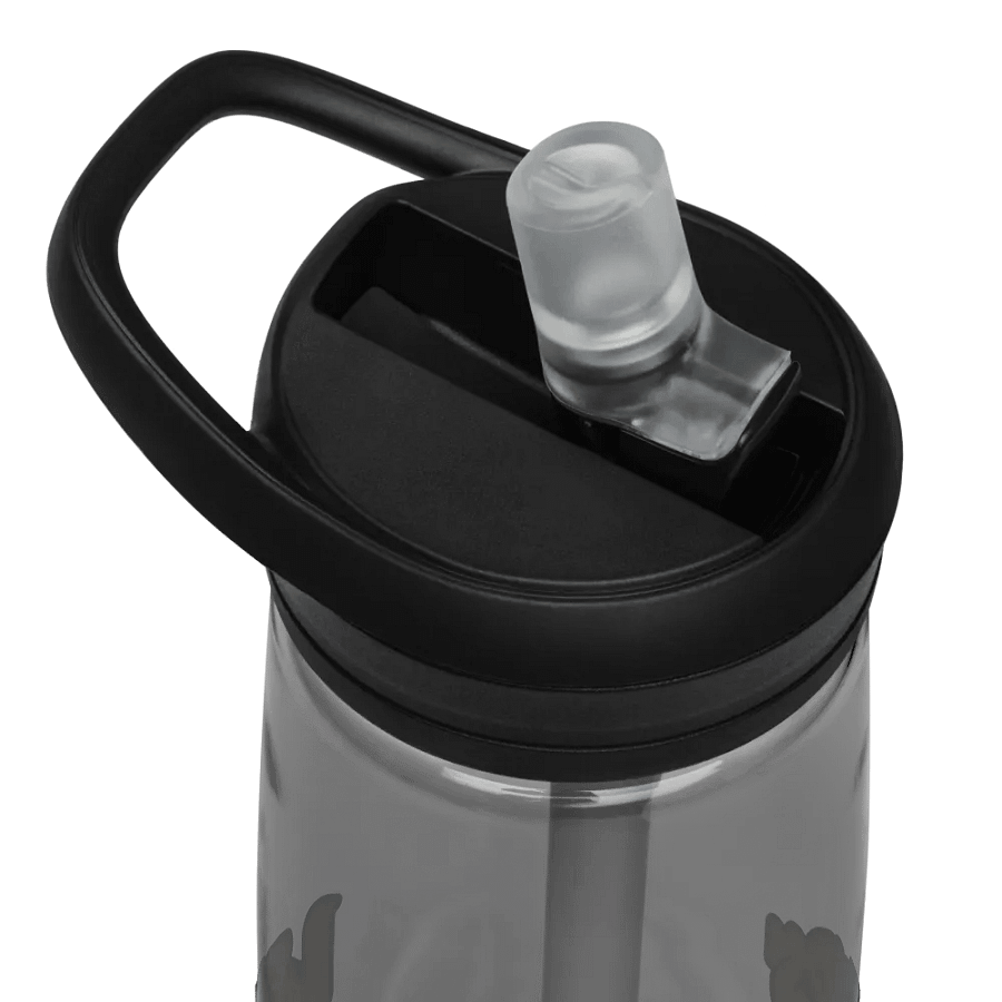 Legends of the Lucha Temple (Sports Bottle) product image (25)