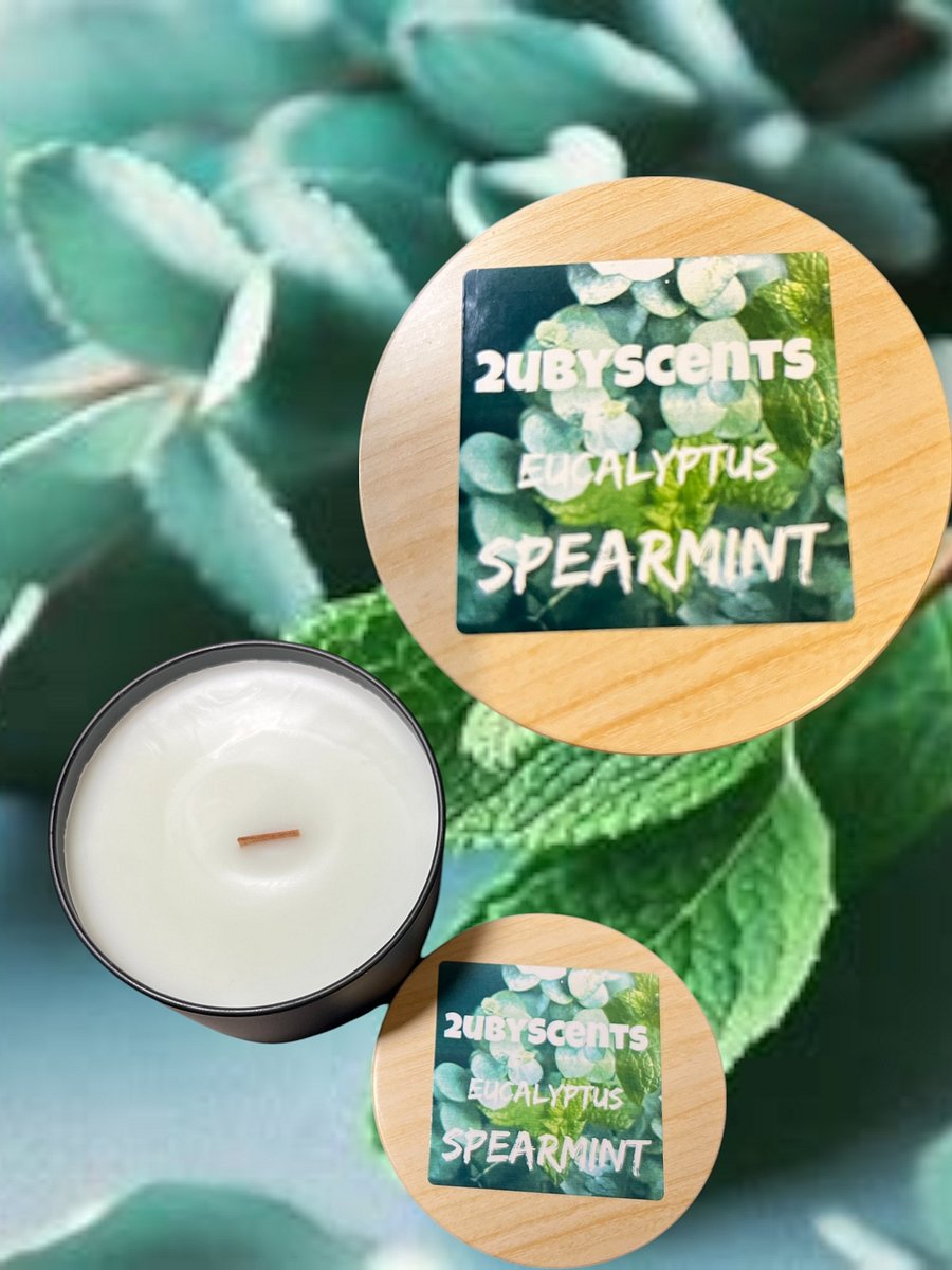 Eucalyptus Spearmint Scented 8. oz Candle product image (1)