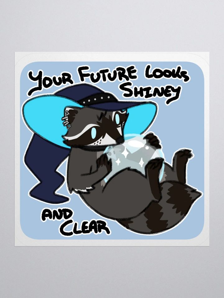Raccoon Fortune (New) product image (1)