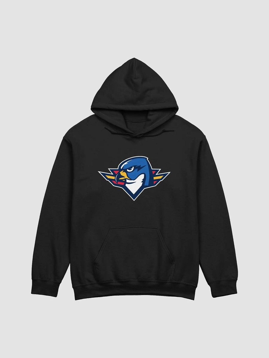 Thunderbirds Mascot Hoodie product image (2)