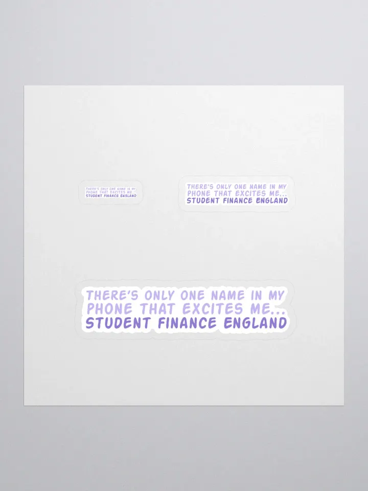 Student Finance Sticker product image (1)