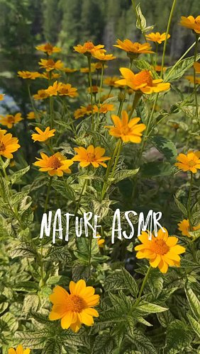 Birds and the bees #ASMR #flowers #photography #bird
