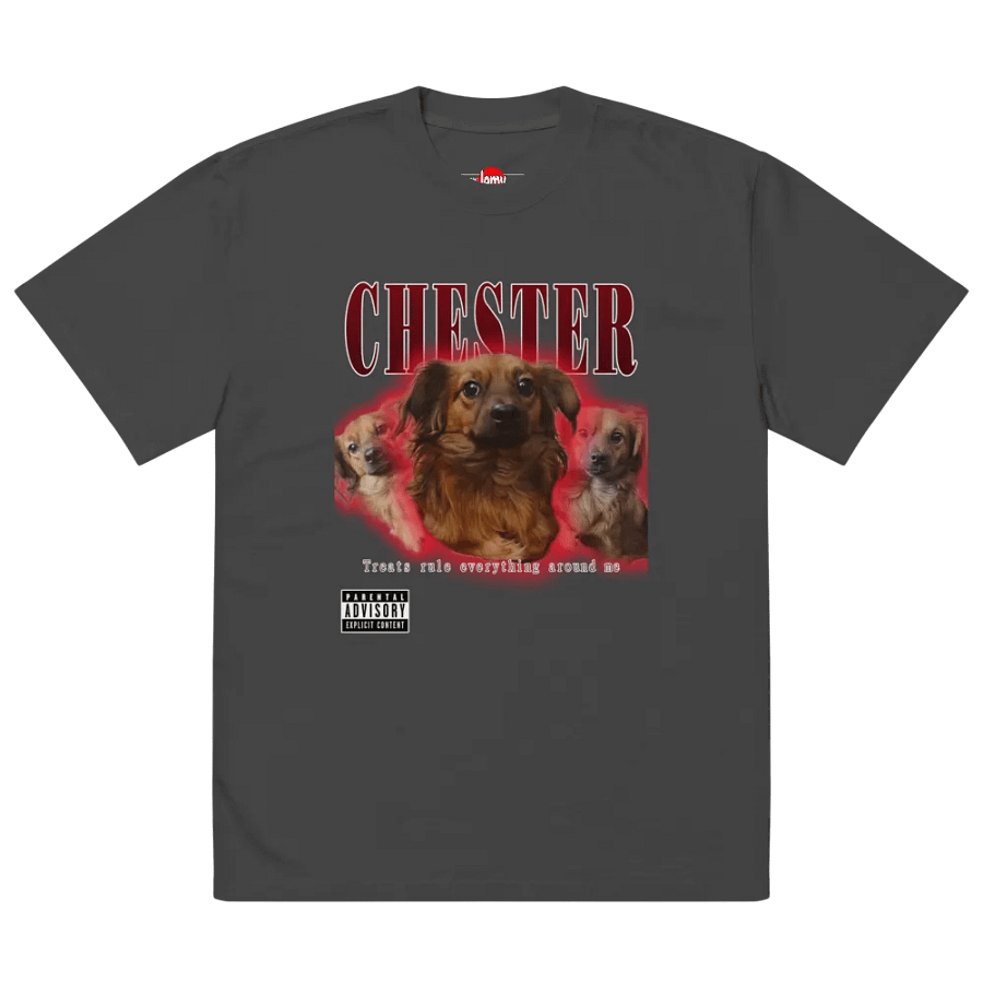 Chester Hip Hop Premium Oversized Faded T-Shirt product image (3)