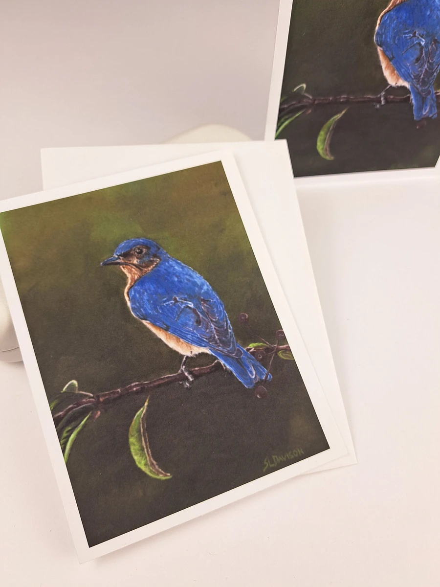 4 Pack of Wildlife Art Greeting Cards - Your Choice - Shipping Included product image (9)