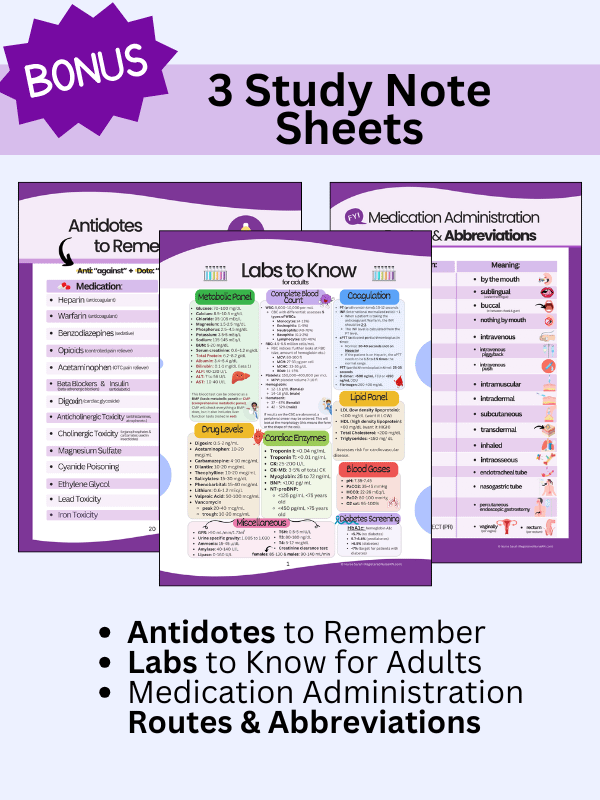 Nursing Resume Templates and Job Guide by Nurse Sarah (Digital) product image (4)