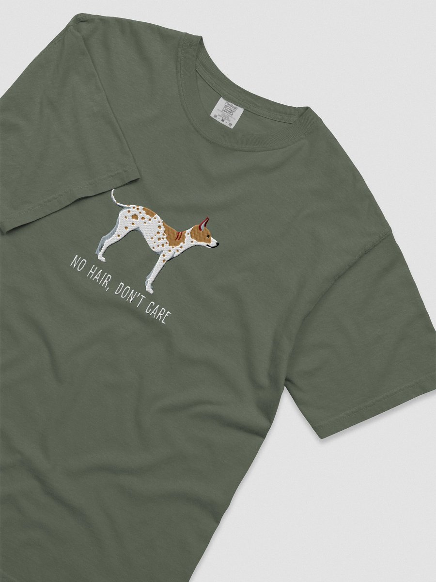 No Hair, Don't Care T-Shirt(Embroidered) of an American Hairless Terrier(Brown & White) product image (30)