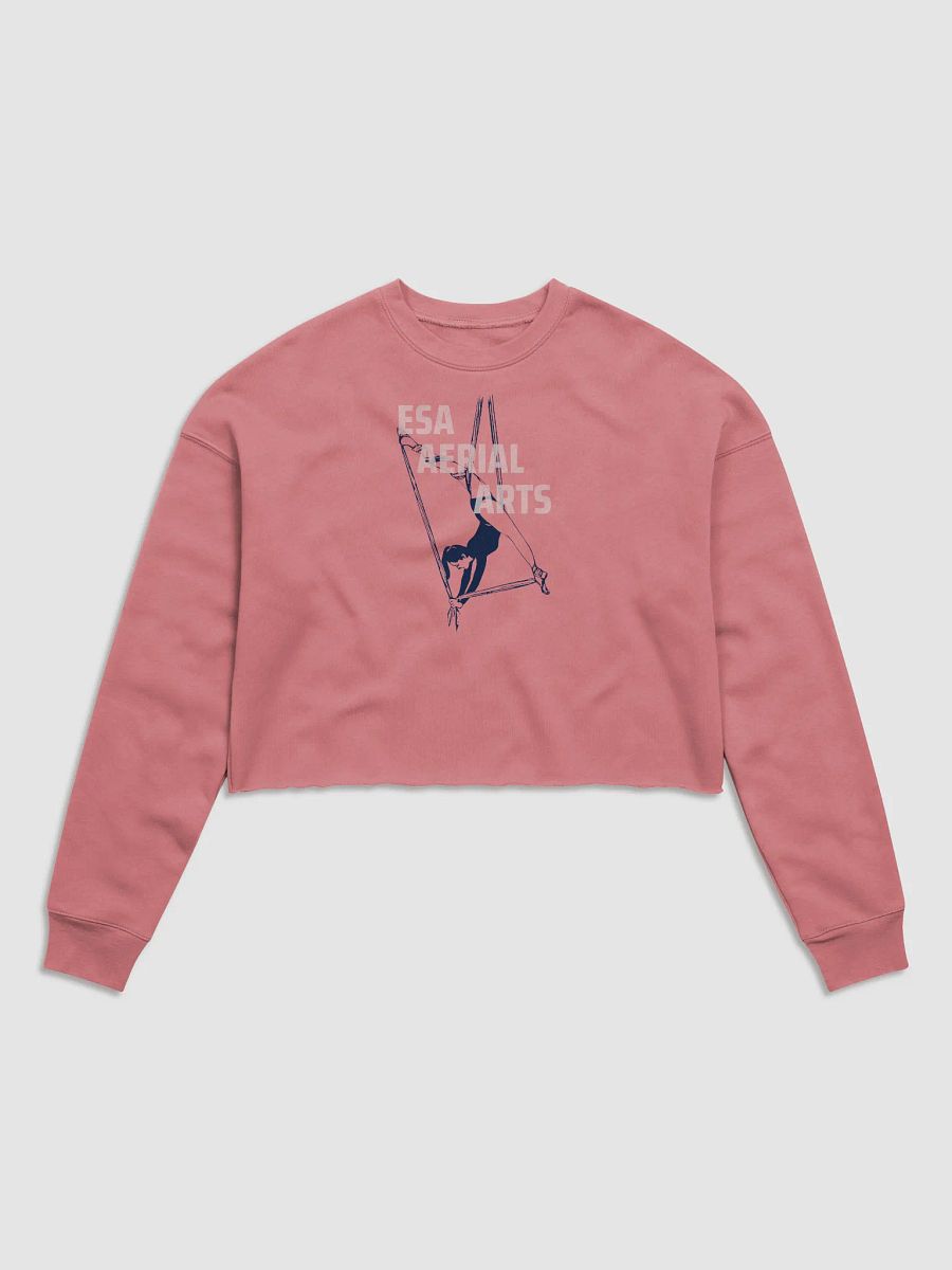 ESA Aerial Silhouette Women's Crop Sweatshirt product image (1)