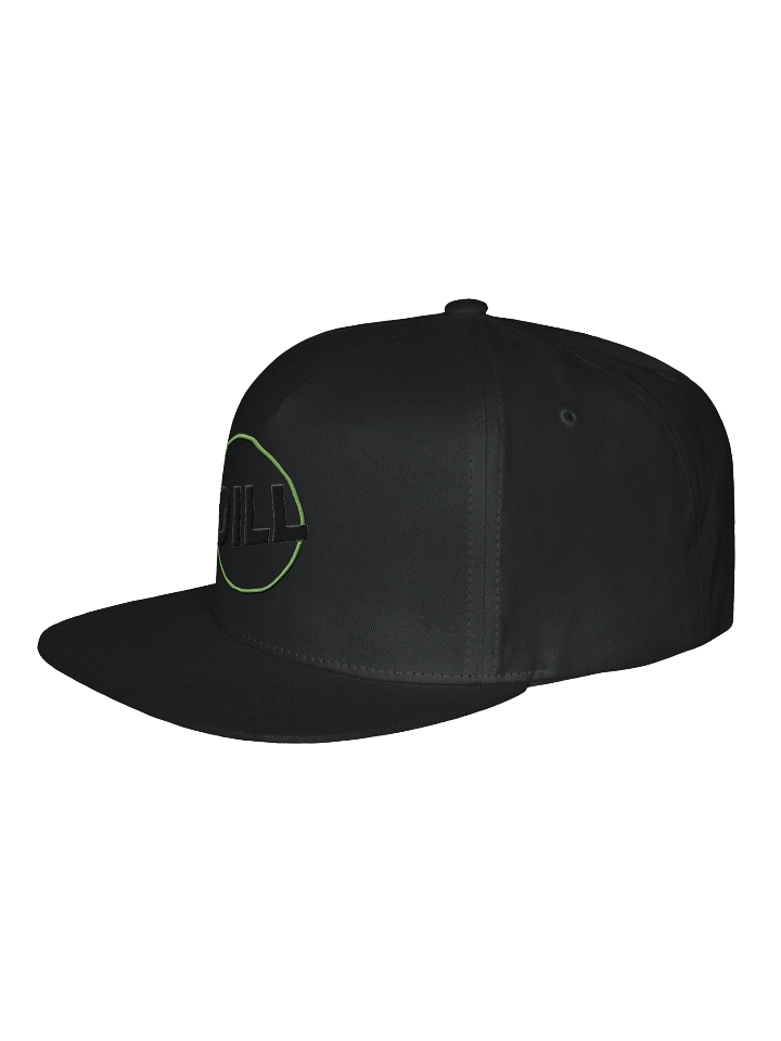Dill's Logo Embroidered Flat Cap product image (4)