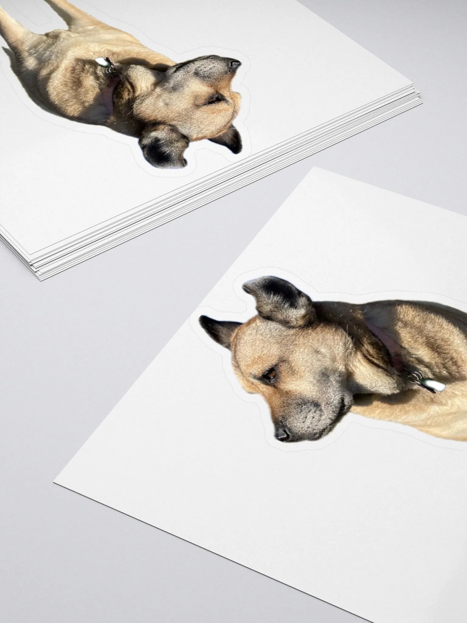 Brinlee sticker product image (4)