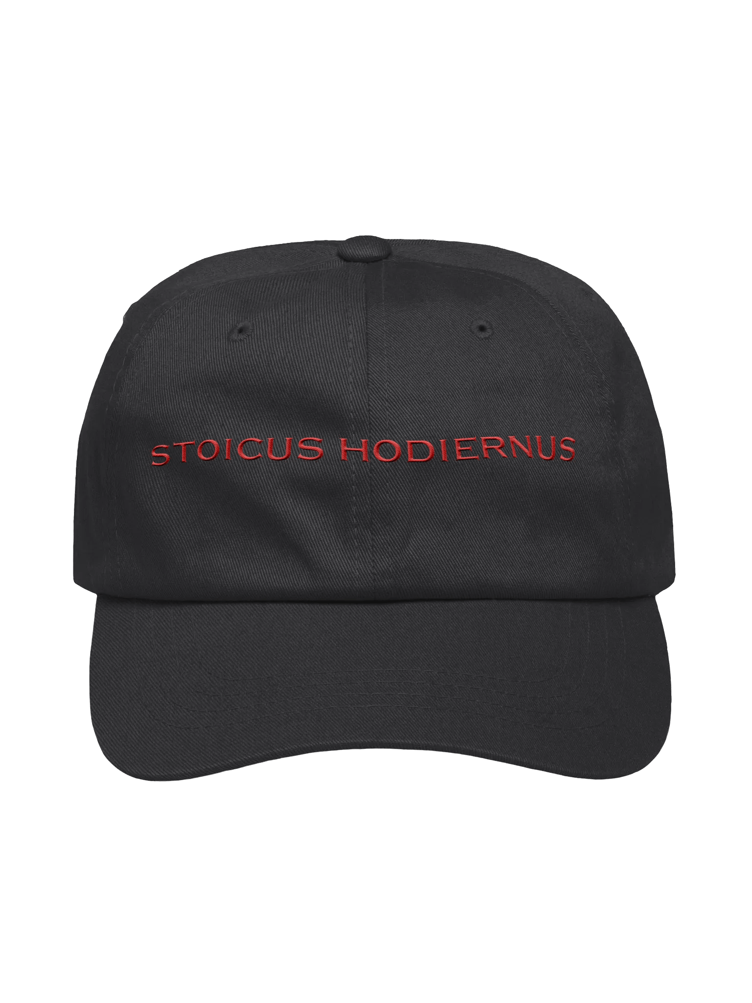 Stoicus Hodiernus Dad Hat product image (1)