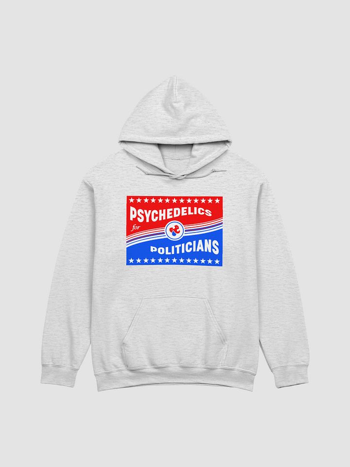 PSYCHEDELICS FOR POLITICIANS - Hoodie product image (3)