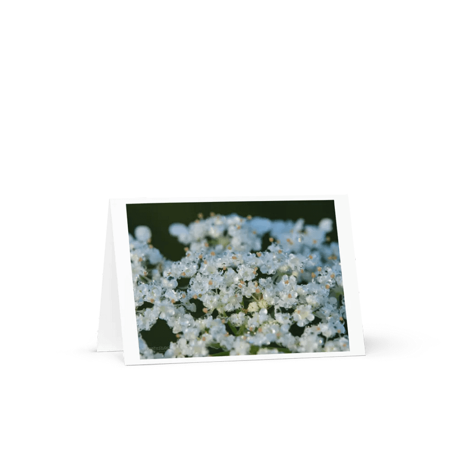 Dew Lace Greeting Card product image (3)