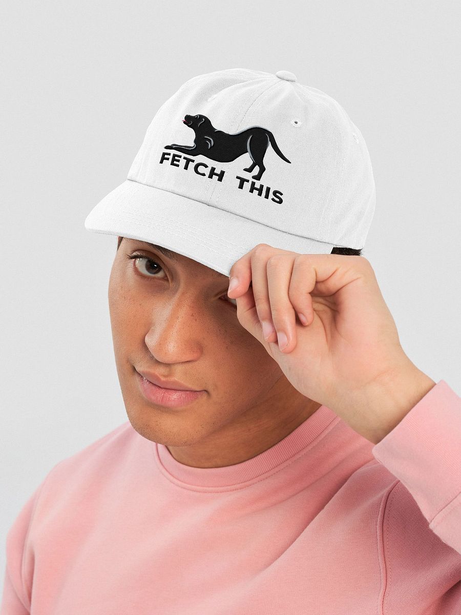 Fetch This Classic Dad Hat(Embroidered) of a Labrador Retriever(Black) product image (42)