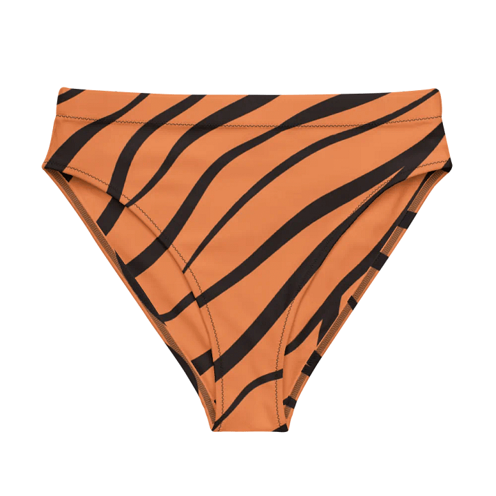 Brada Tiger Stripes Recycled Bikini Bottoms product image (1)