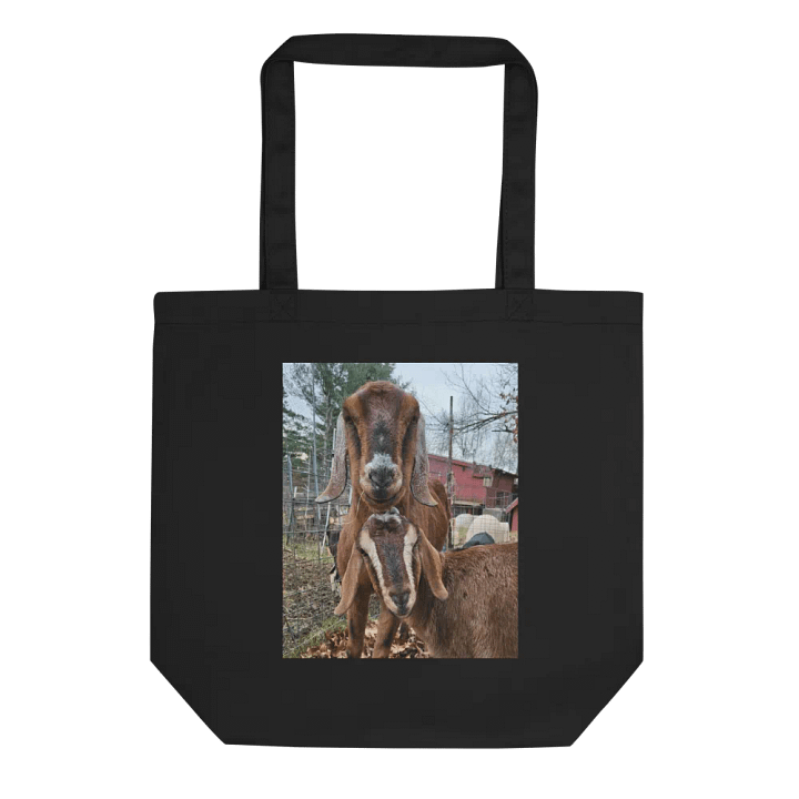 Giant Goats tote bag (Dragon one side Wilson & Patrick the other) product image (1)