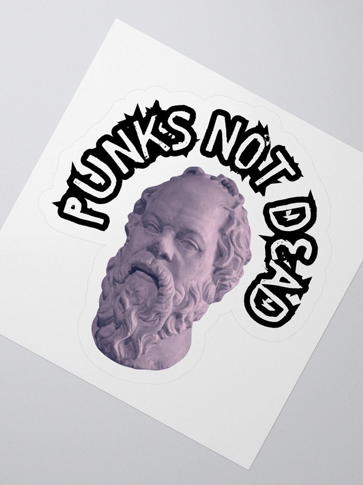 PUNKS NOT DEAD product image (4)
