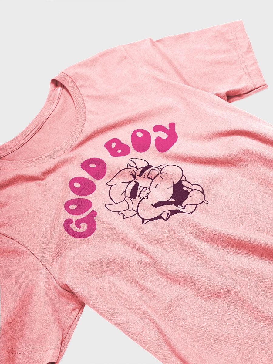 Good Boy product image (2)