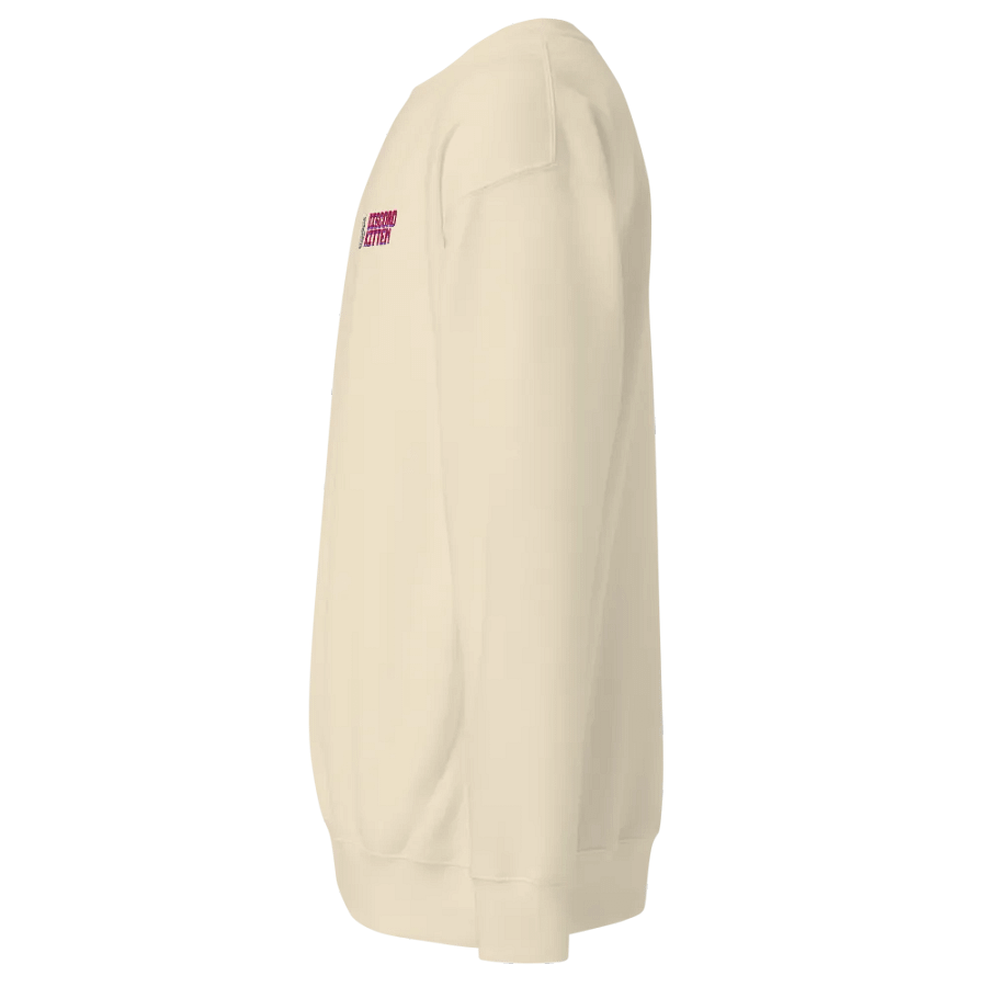 Discord Kitten ∙ Embroidered Sweatshirt product image (7)