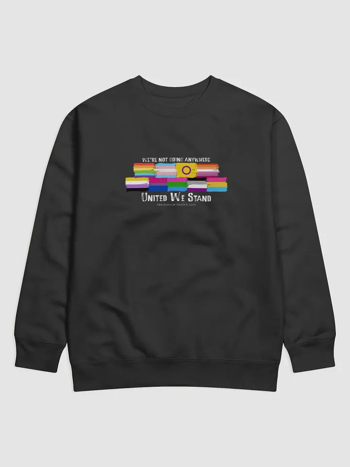United We Stand - Sweatshirt product image (3)