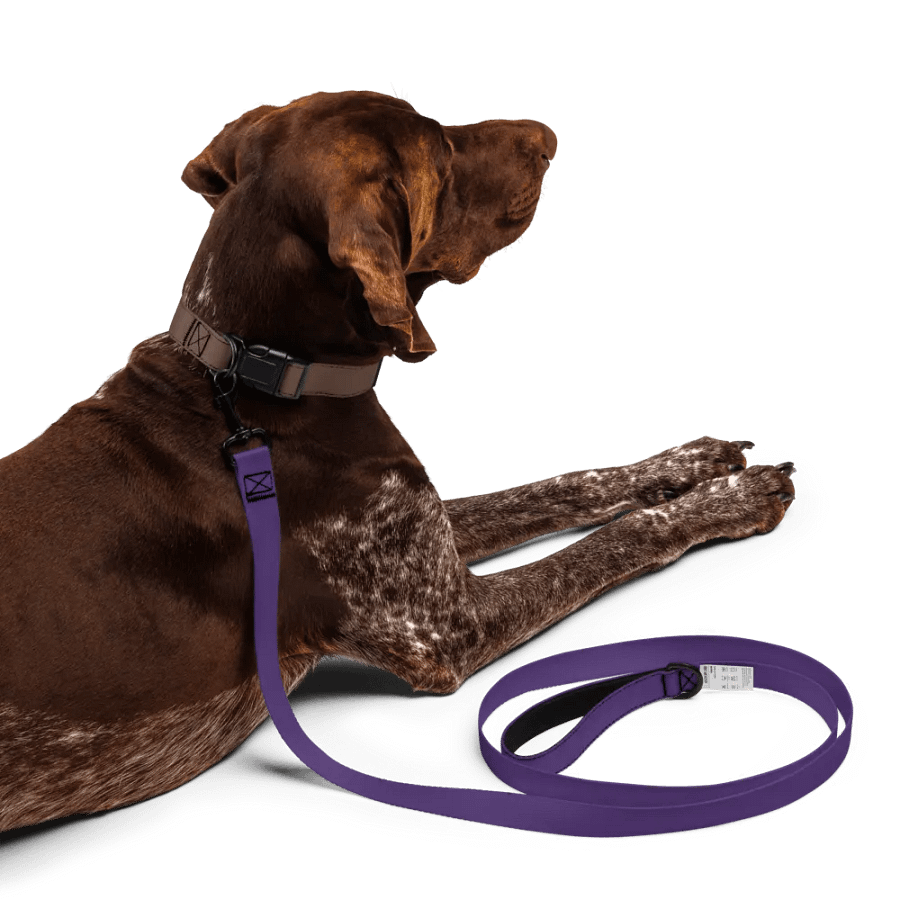 Happy Pup Custom Leash product image (5)