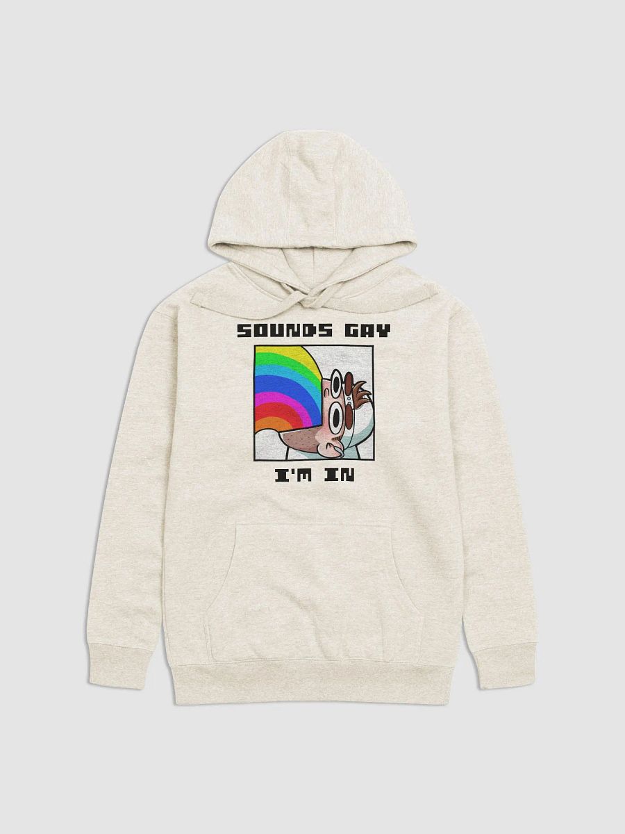 Sounds Gay I'm In Premium Hoodie product image (1)