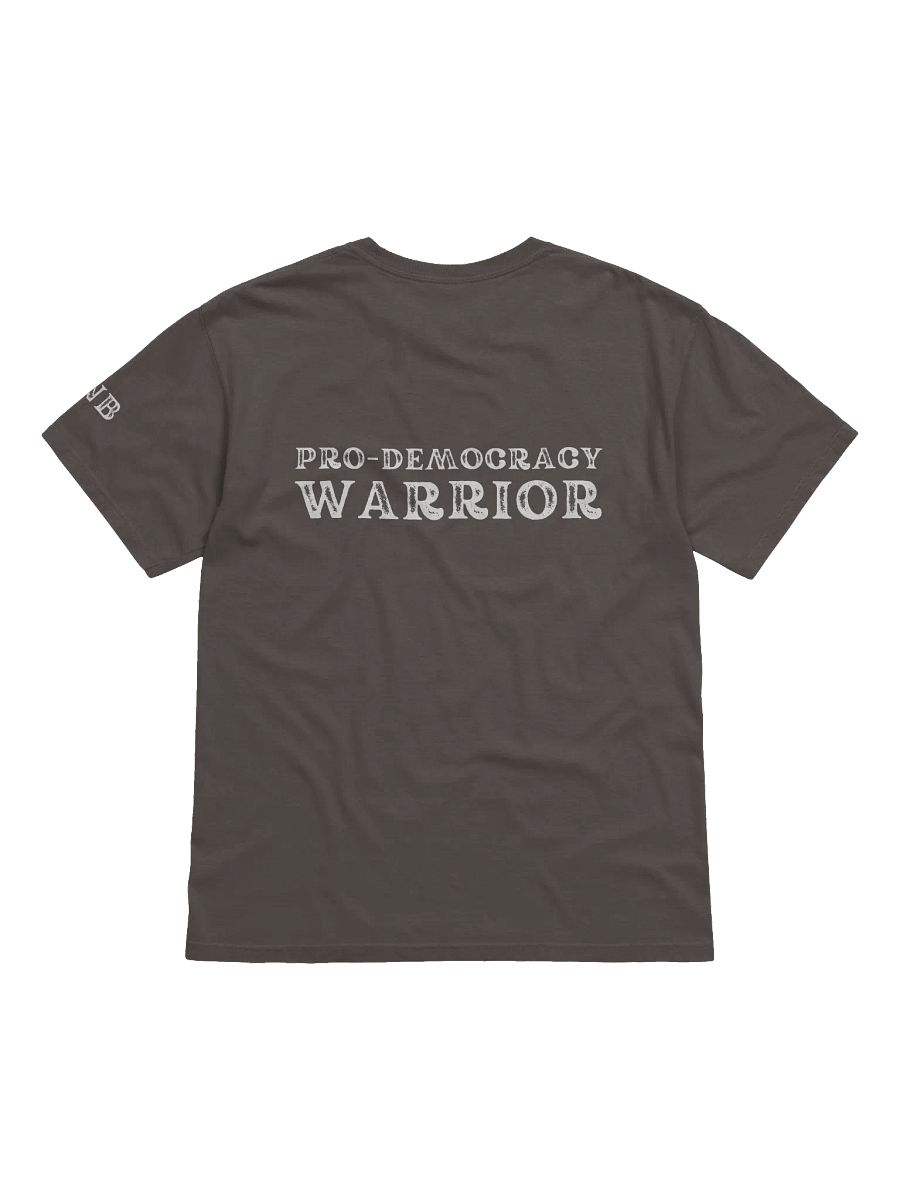 Pro-Democracy Warrior - Back Graphic Unisex T-shirt product image (2)