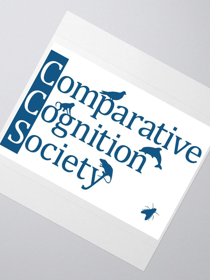 CCS logo stickers product image (2)