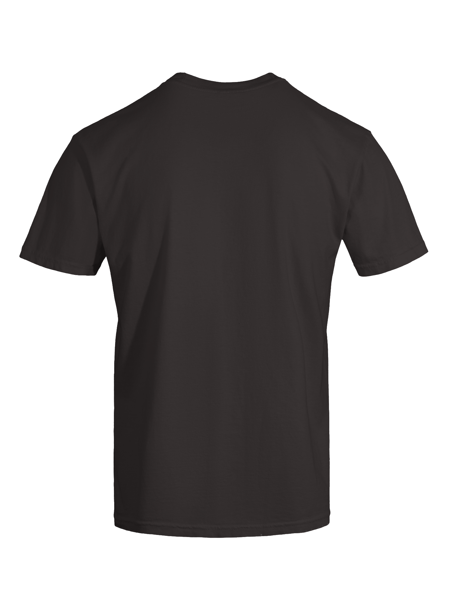 Rockin' Roller Coaster Farewell Tour Tee product image (18)