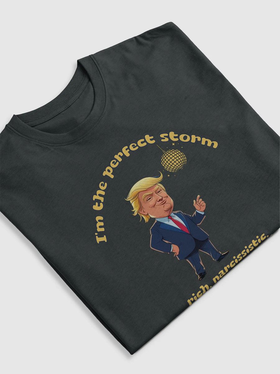 The Perfect Storm: When a Narcissist Takes Over the World product image (3)