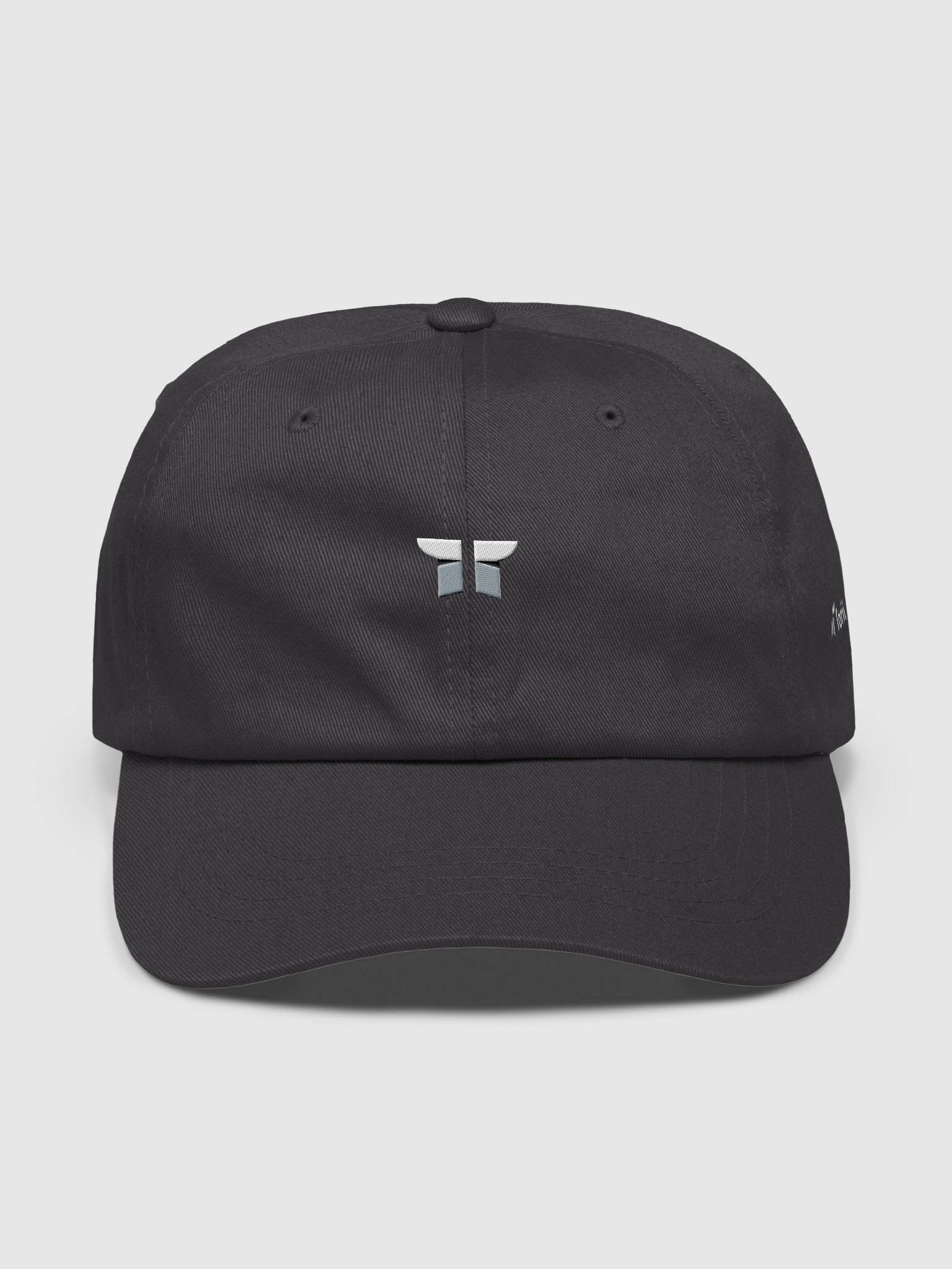 Torii Classic Dad Hat product image (2)