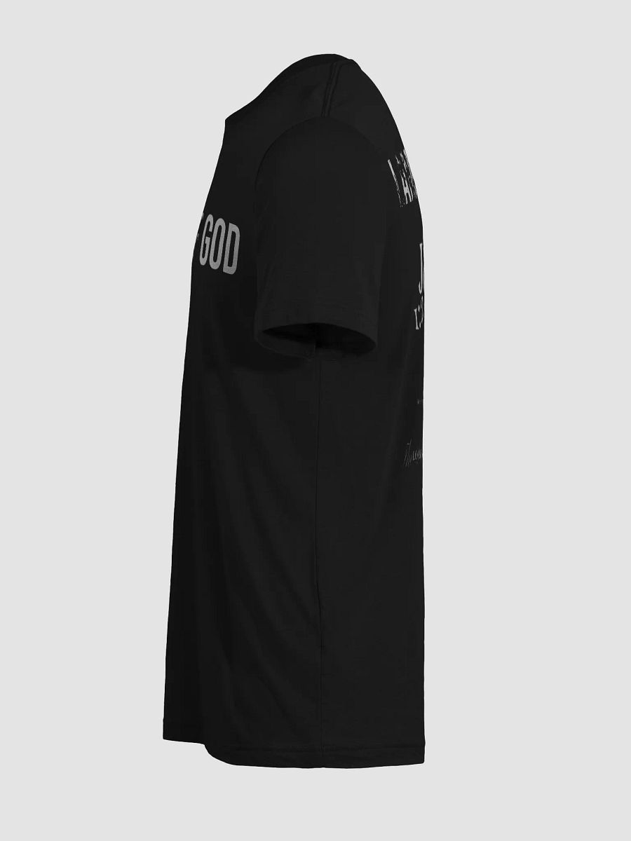 The Lives On HIGH | LOG | UNISEX Triblend Tee | Sport product image (58)